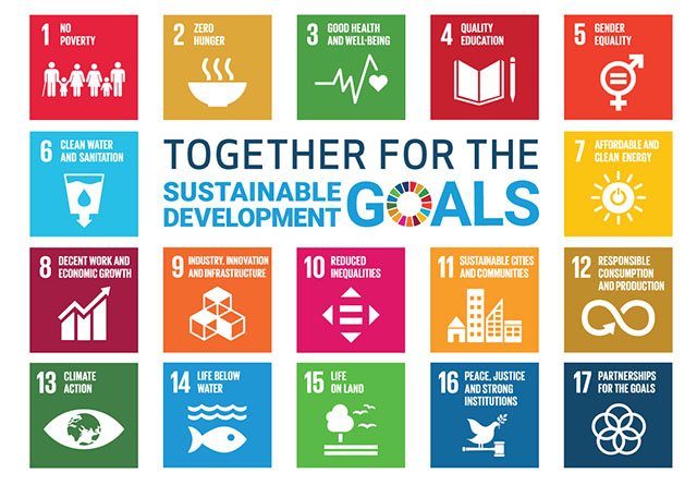 all icons SDG goals